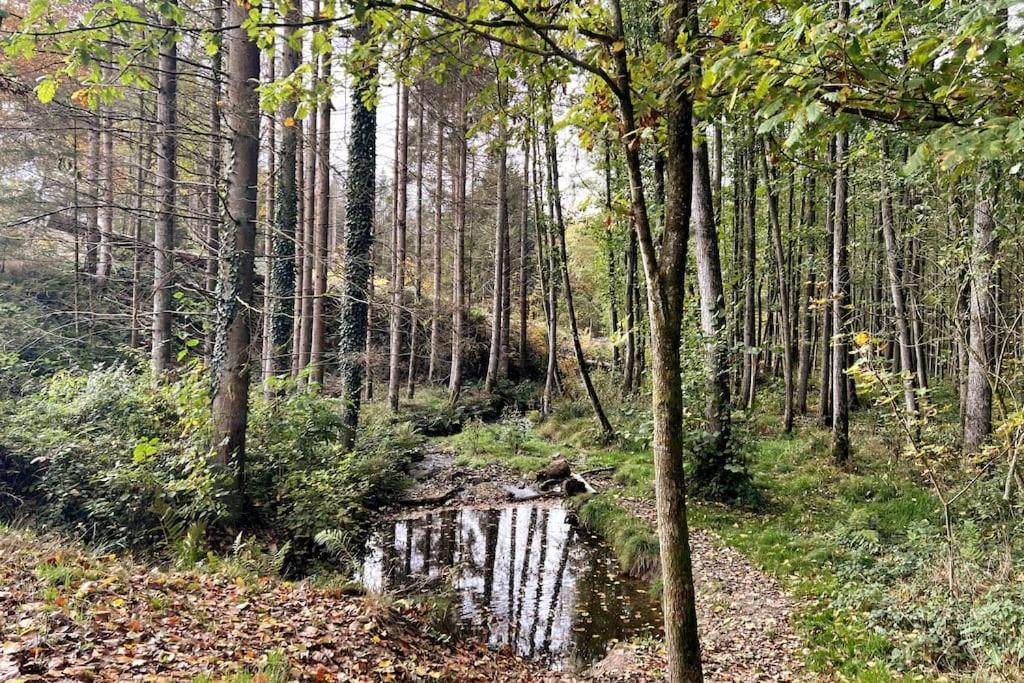 The Forest Retreat- Luxurioese Ferienwohnung Mit Privater Sauna فرملزكيرشن المظهر الخارجي الصورة