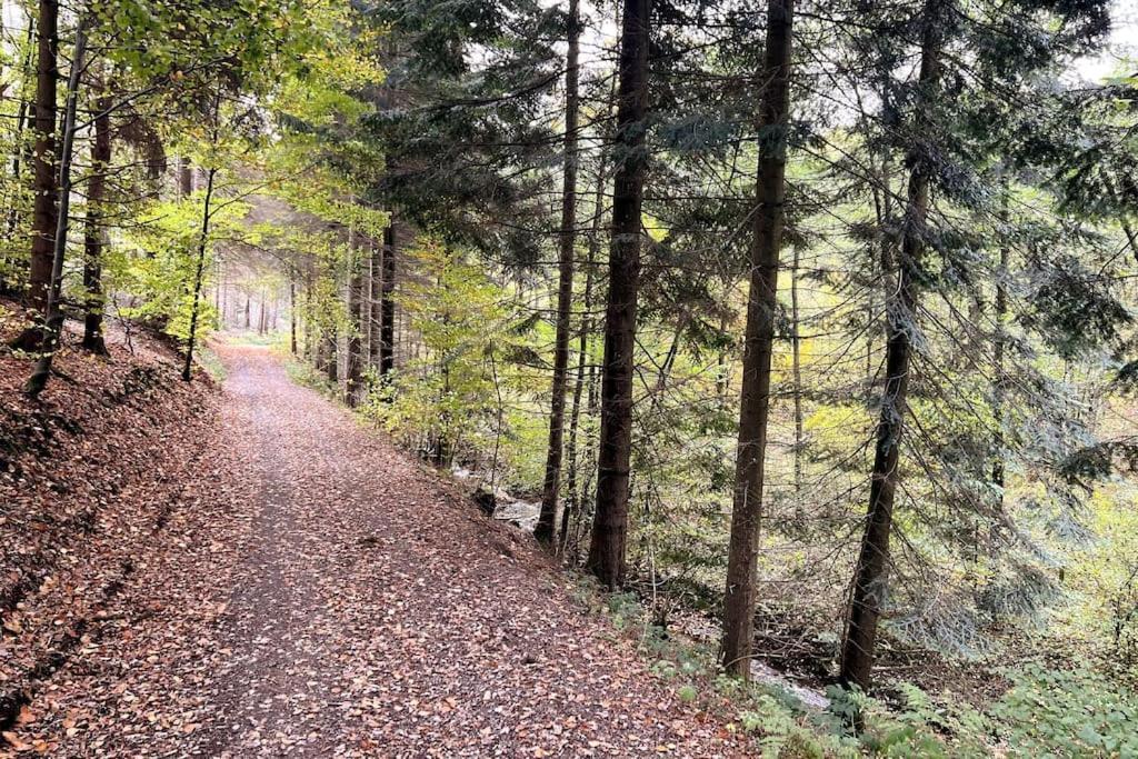 The Forest Retreat- Luxurioese Ferienwohnung Mit Privater Sauna فرملزكيرشن المظهر الخارجي الصورة